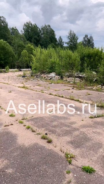 Обзор детектора дронов Asel Labs H231 (Асель Лабс)