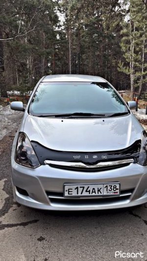 Виш 2004