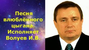 1481.В.Ю. ВИДЕО. Песня влюблённого цыгана. Исполняет Волуев И.В.