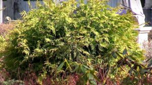 Март 2026 года стал одним из самых теплых за всю историю в Тверской области