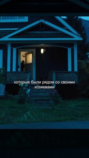 Хороший фильм на вечер !