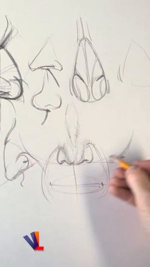 Важные объемы при рисовании носа