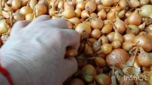 Погода изменилась /1.04.2026 /как живут в русской деревне..