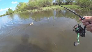 Эта БЛЕСНА ловит ЩУКУ на любой проводке! Рыбалка на спиннинг с берега! Спиннинг 2023!