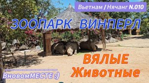 Зоопарк ВИНПЕРЛ, Вьетнам, Нячанг. Вялые животные.