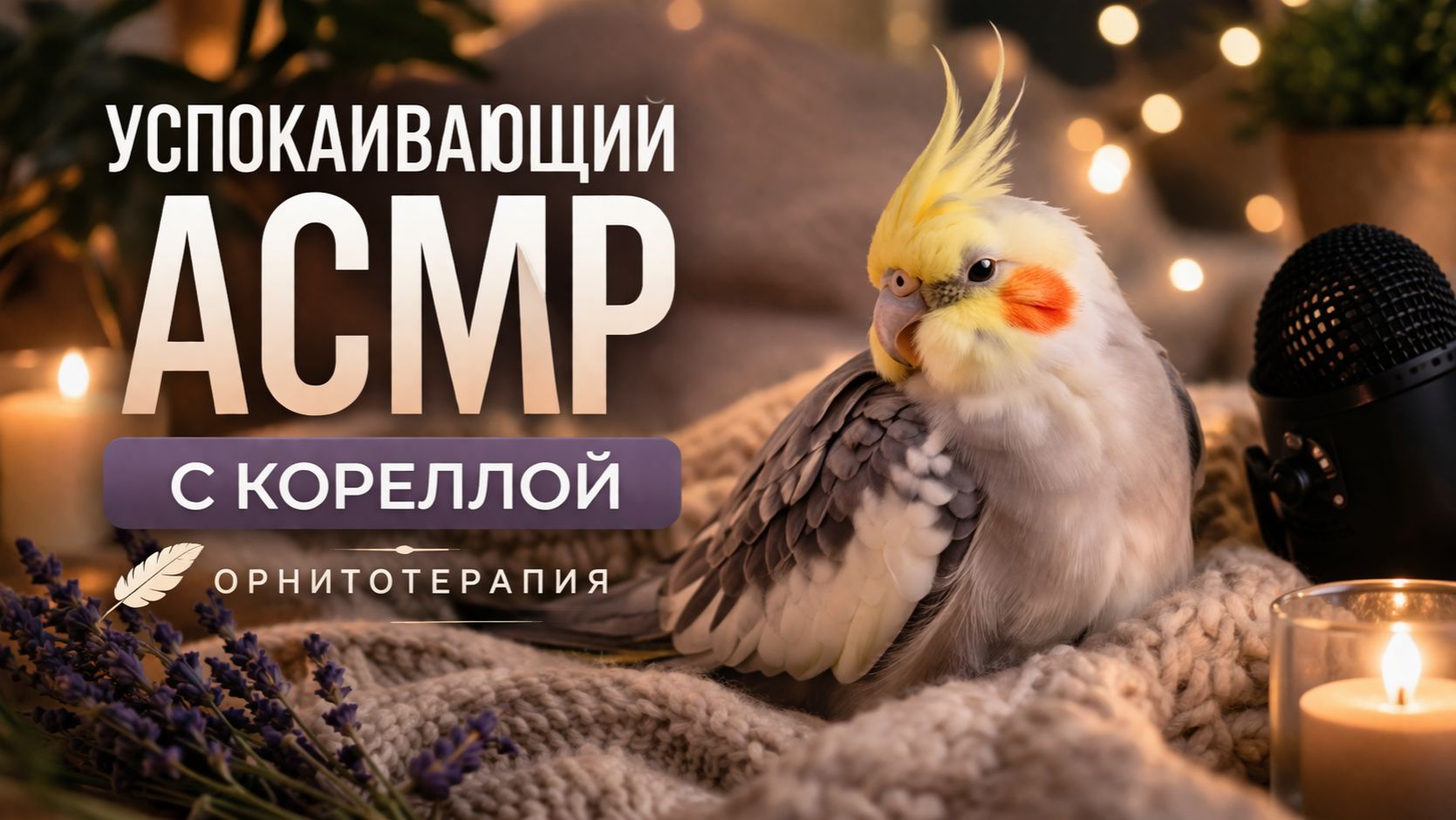 УСПОКАИВАЮЩИЙ АСМР С КОРЕЛЛОЙ  ОРНИТОТЕРАПИЯ