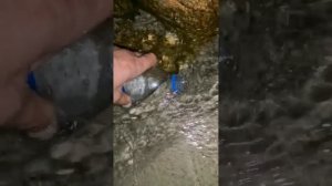 АНДРЕЙКА ДОЕХАЛ ЯПОСКОЕ МОРЕ ,АНДРЕЙКА СЧАСТЛИВ ВОООТ