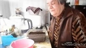 Решила посеять бархатцы / Что осталось из рассады дома.