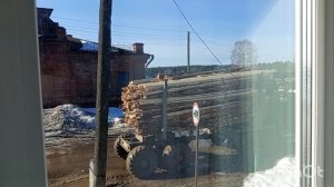 //185// Привезли нам фишку горбыля.Нажарила пирогов  с капустой.