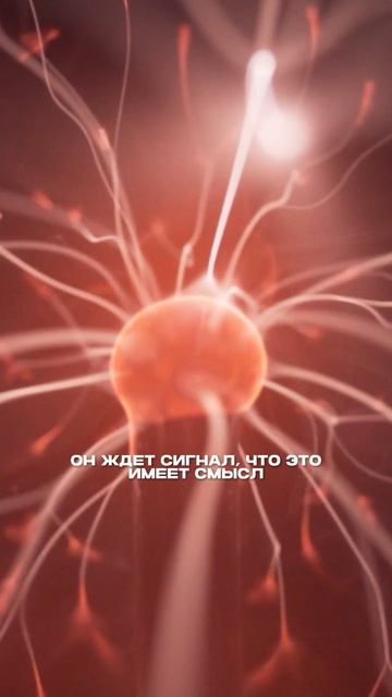 Video-output-3A292AA4-6D6D-49FE-8C25-7709CDBAD9A3-1