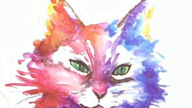 Песня кота