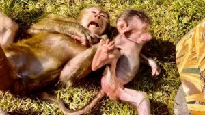 ОБХОХОЧЕШЬСЯ! Анфисе и Николь очень ВЕСЕЛО ВМЕСТЕ ИГРАТЬ!