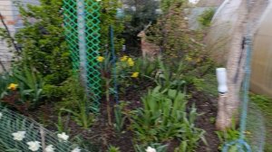 Вечернии будни