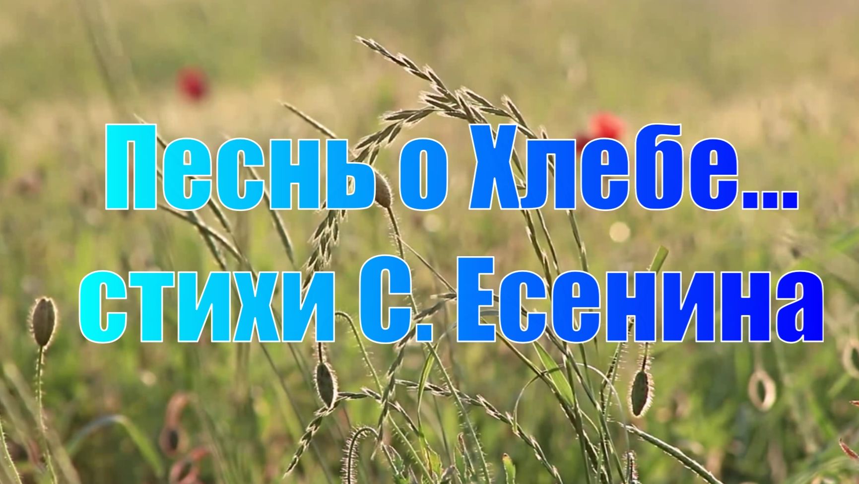 "Песнь о хлебе."