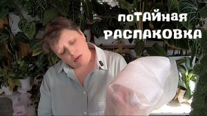 РАСПАКОВКА ТАЙСКИХ НОВИНОК. НЕМНОГО ПЛАНОВ НА ВЕСНУ. 02-04-2026