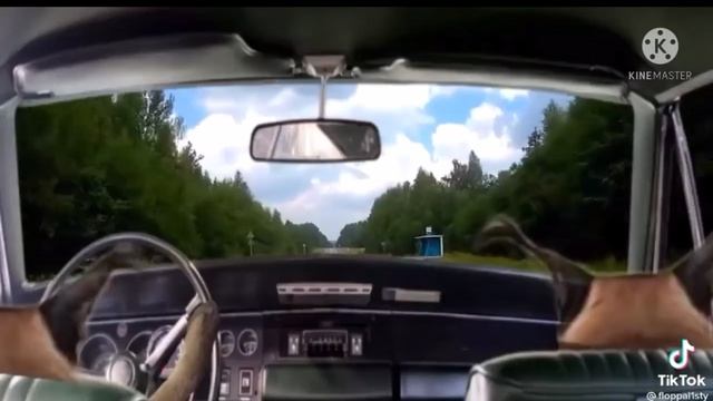 Фильм про шлёпу «Сбежавший» сезон 1