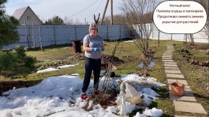 Уютный влог: Посеяла огурцы и лагенарию. Продолжаю снимать зимнее укрытие для растений.