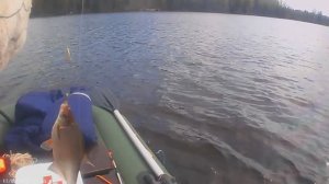 17.05.2025 поймала рыбку