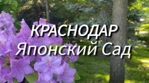 Краснодар. Японский Сад весной✅