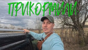 ПРИКОРМИЛИ.