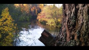 Ф.Тютчев . SILENTIUM!  "Молчи, скрывайся и таи..."