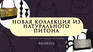 Натуральный питон | Женские сумки и аксессуары | Роскошная фактура и статусный акцент от Richezza