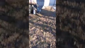 обзор на маю дачю