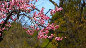 Насыпьте это в стеклянную банку и просто ждите.