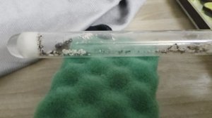 Жизнь муравьёв. 1 серия.