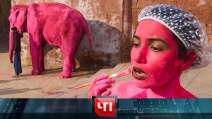 «ЧП»: 2 апреля 2026 года | «Чрезвычайное происшествие» на НТВ