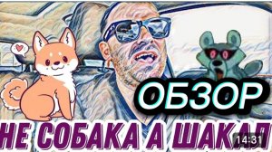 САМВЕЛ АДАМЯН, ОБЗОР ОТ "ЛЕСНОЕ ЭХО"