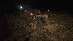 ЗЕМЛЯНКА В ЛЕСУ