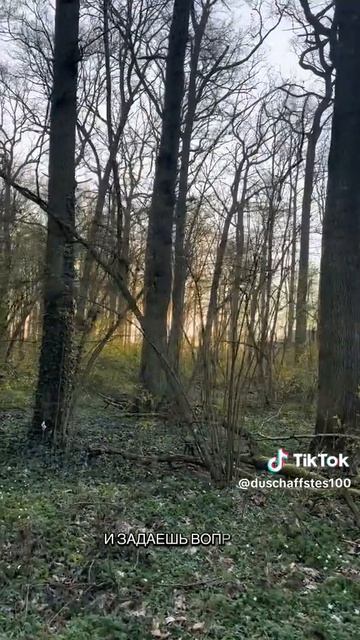 Элементарно, понятно, просто