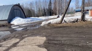 обзор планеты 5 на Авито