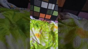 тоэанцы с бабой#1