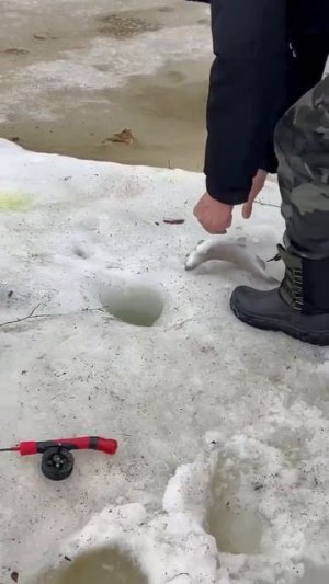 02.04.26. г. РК Волна.