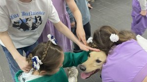 "Лапы, хвост и доброта": первый урок в школе