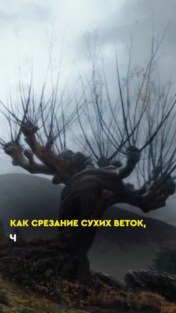 Больше информации и обучающих уроков Таро ищите в канале🔥