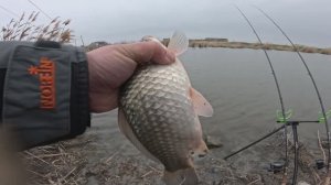 Фидерные ПРИКЛЮЧЕНИЯ на ТЁПЛОМ канале РЫБАЛКА 2026