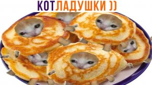 КОТЛАДУШКИ))) Приколы с котами