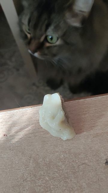 Кормим Баюшу пельменями