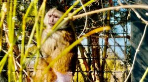 Финик ТАК ОБИДЕЛСЯ НА НАС, что просто УБЕЖАЛ искать папу Влада!