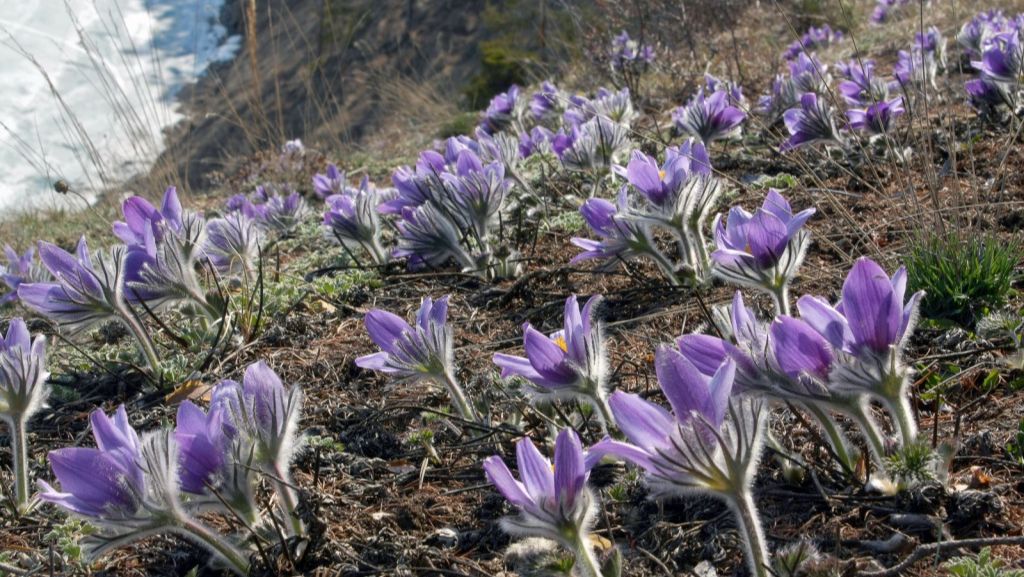 Немного из жизни за март