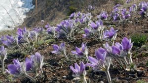 Немного из жизни за март