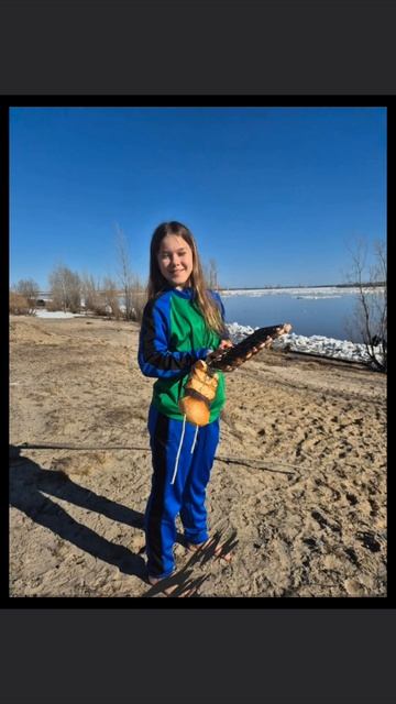 любимой
#hellokitty047089 #лп #вита