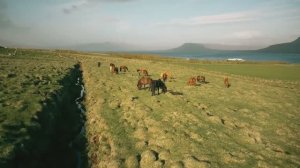 КРАСОТА ПРИРОДЫ — МЕЛОДИЯ ДЛЯ СЕРДЦА