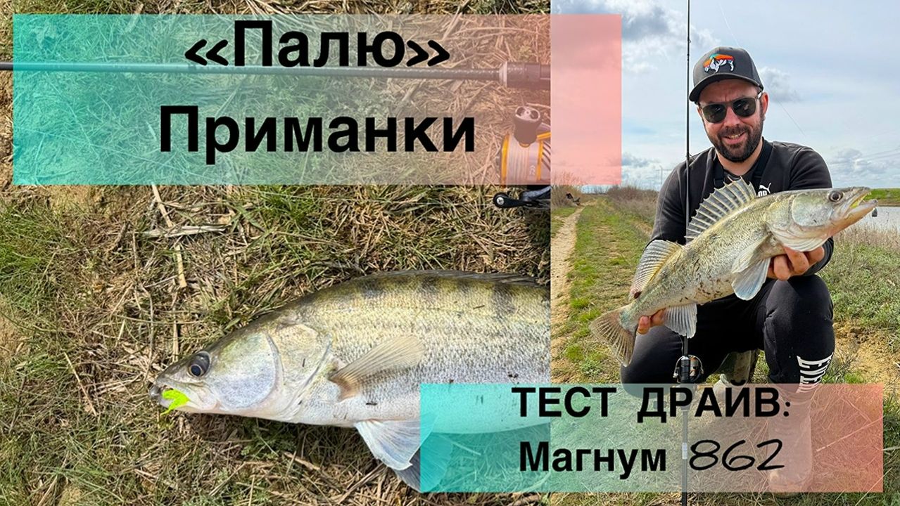 Магнум 862 3-12 тест-драйв! Судак весной на спиннинг с берега