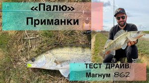 Магнум 862 3-12 тест-драйв! Судак весной на спиннинг с берега