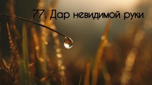 77. Дар невидимой руки