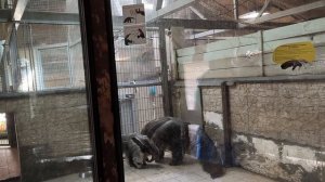 Калининградский зоопарк